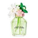 DAISY WILD DAISY WILD